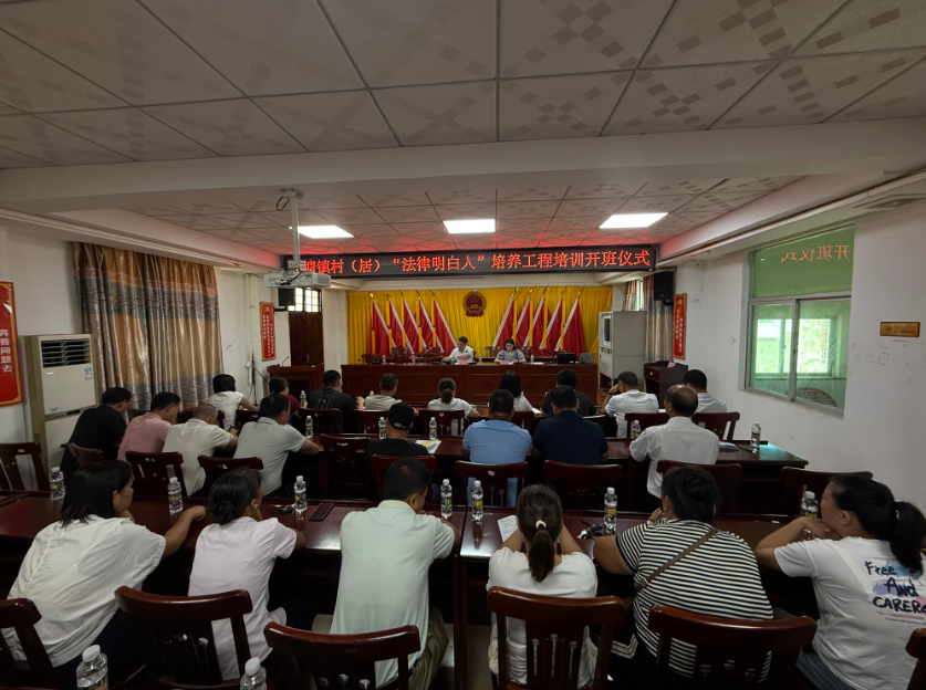 芜湖市海口专业法务咨询(海南法之道法务咨询有限公司)