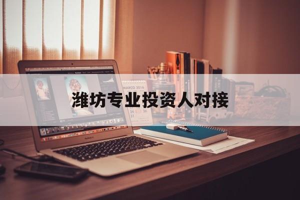 芜湖市潍坊专业投资人对接(潍坊专业投资人对接中心)