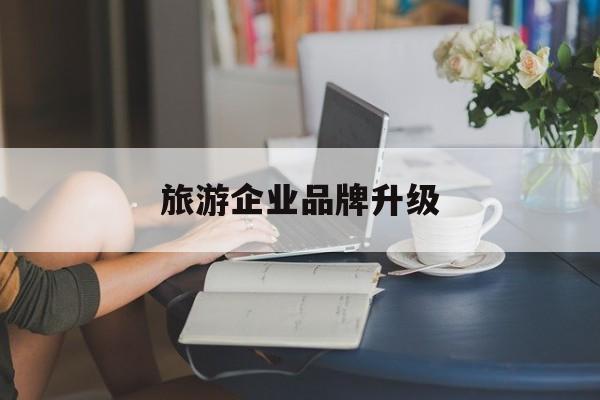 芜湖市旅游企业品牌升级(旅游企业品牌升级措施)