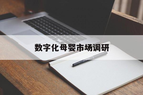 芜湖市数字化母婴市场调研(数字化母婴市场调研报告)