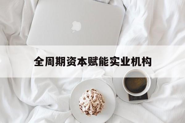 芜湖市全周期资本赋能实业机构(全周期管理)